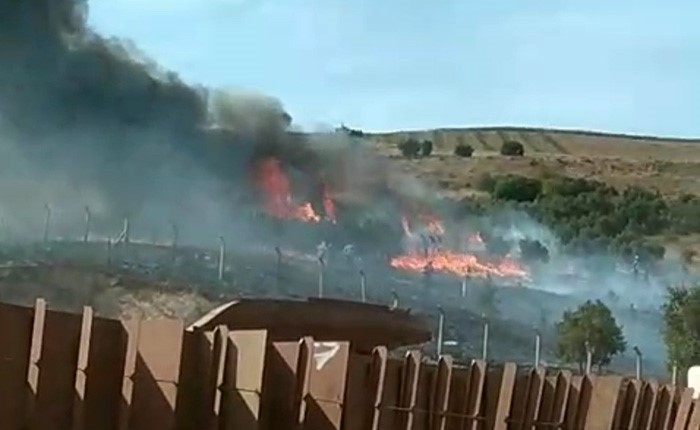 Erdek’te otluk ve ağaçlık alanda yangın