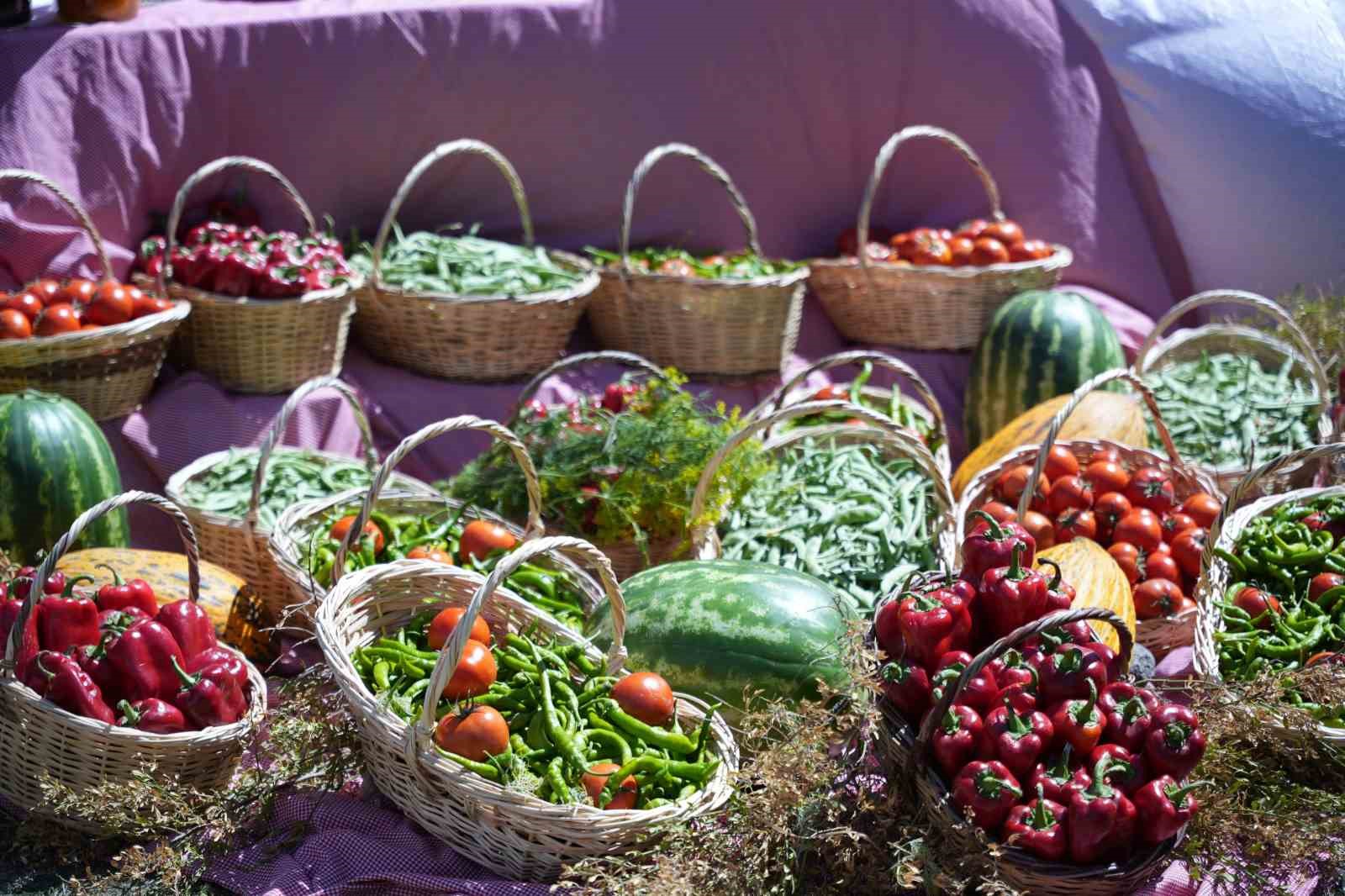 Uluslararası Çubuk Turşu ve Kültür Festivali başladı