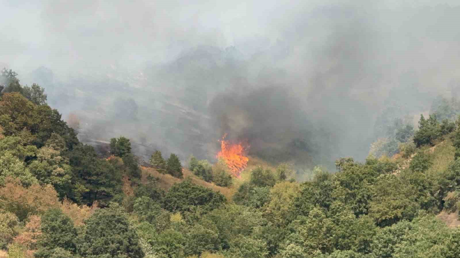Düzce’de yangının çıkış nedeni araştırılıyor