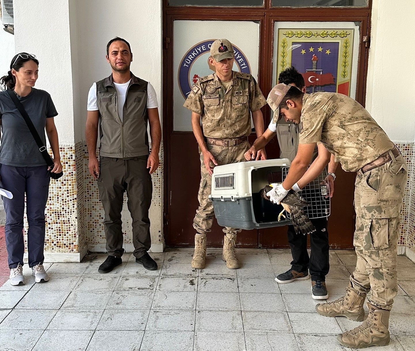 Yaralı şahin jandarma ekiplerince bulundu
