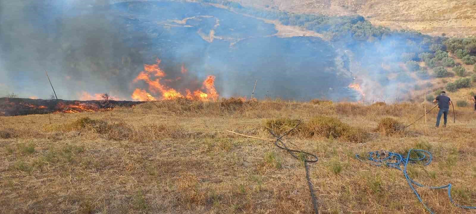 Erdek’te 100 dönümlük alanda yangın
