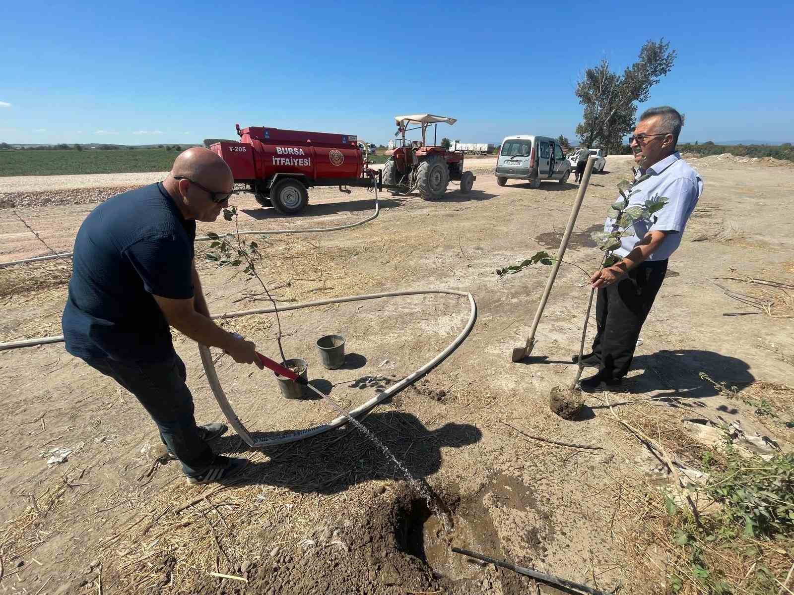 Orman yangınlarında kaybedilen her ağa&ccedil; yerine 10 fidan
