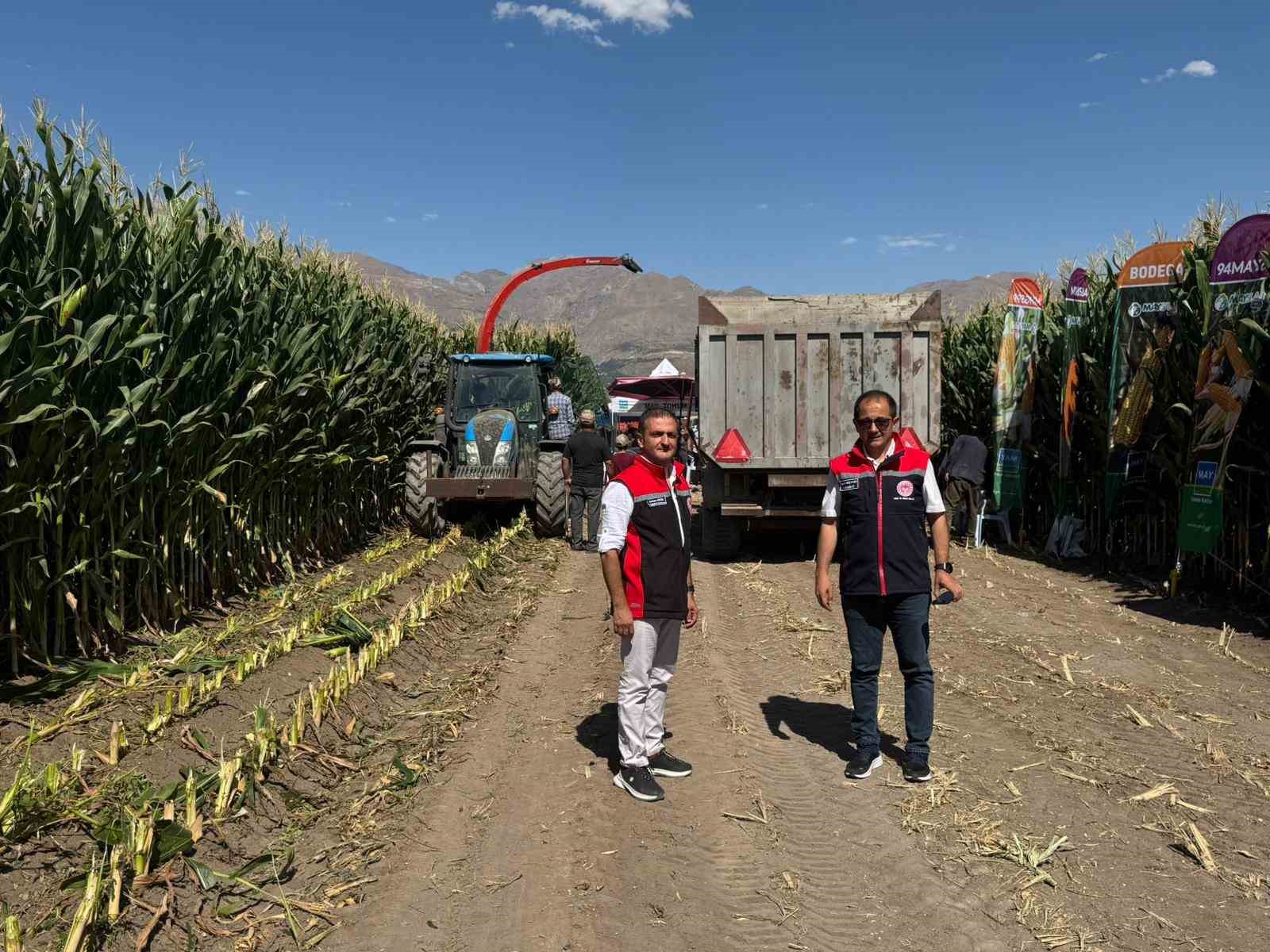 Erzincan&rsquo;da silajlık mısırın hasadı s&uuml;r&uuml;yor
