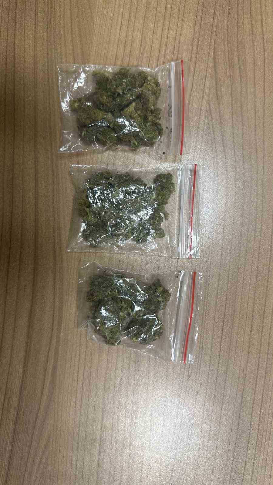 Van&rsquo;da &lsquo;torbacı&rsquo; operasyonu
