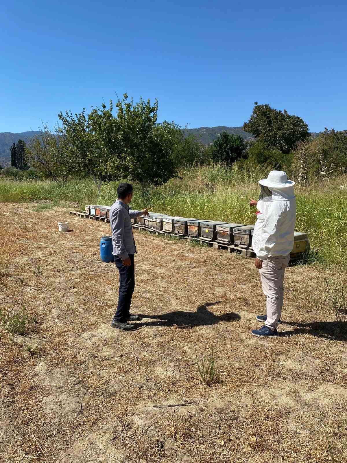 Arıcılık desteklemeleri için kovan sayımları tamamlandı