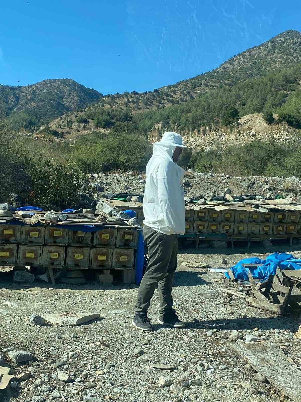 Arıcılık desteklemeleri i&ccedil;in kovan sayımları tamamlandı
