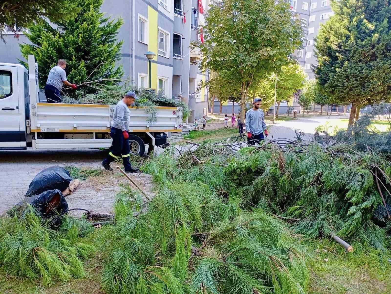 K&ouml;rfez&rsquo;de park ve bah&ccedil;elere bakım işlemi
