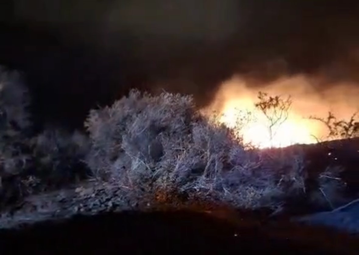 Avşa Adası&rsquo;nda gece yarısı &ccedil;ıkan yangın b&uuml;y&uuml;meden s&ouml;nd&uuml;r&uuml;ld&uuml;
