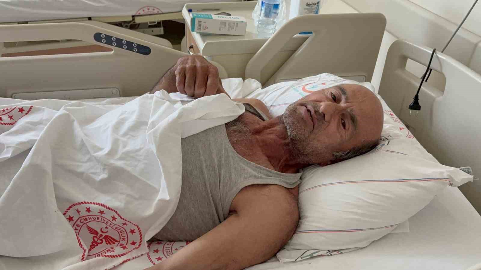 Ayı saldırısına uğradı: Canını ağaca tırmanarak kurtardı
