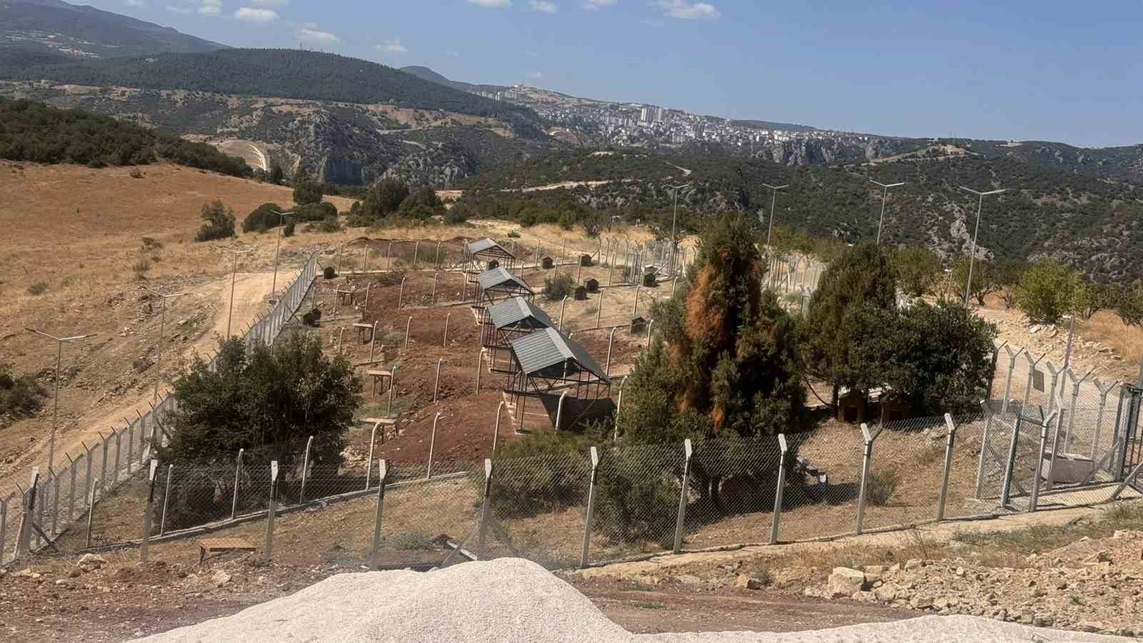 Sokak Hayvanları Doğal Yaşam Alanı’nı ruhsatsız çıktı
