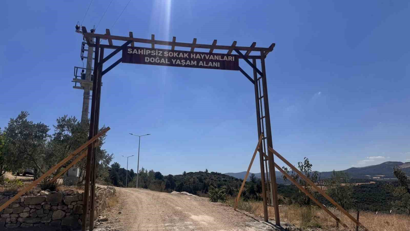 Sokak Hayvanları Doğal Yaşam Alanı&rsquo;nı ruhsatsız &ccedil;ıktı
