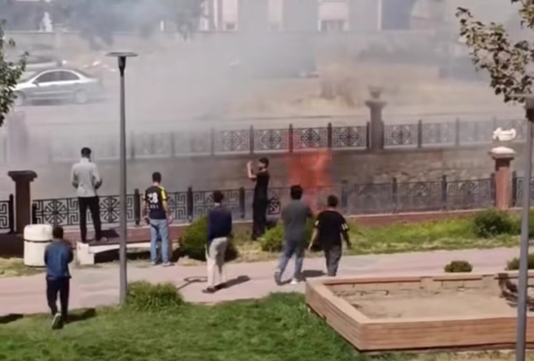 Van&rsquo;da kuru ot yangını
