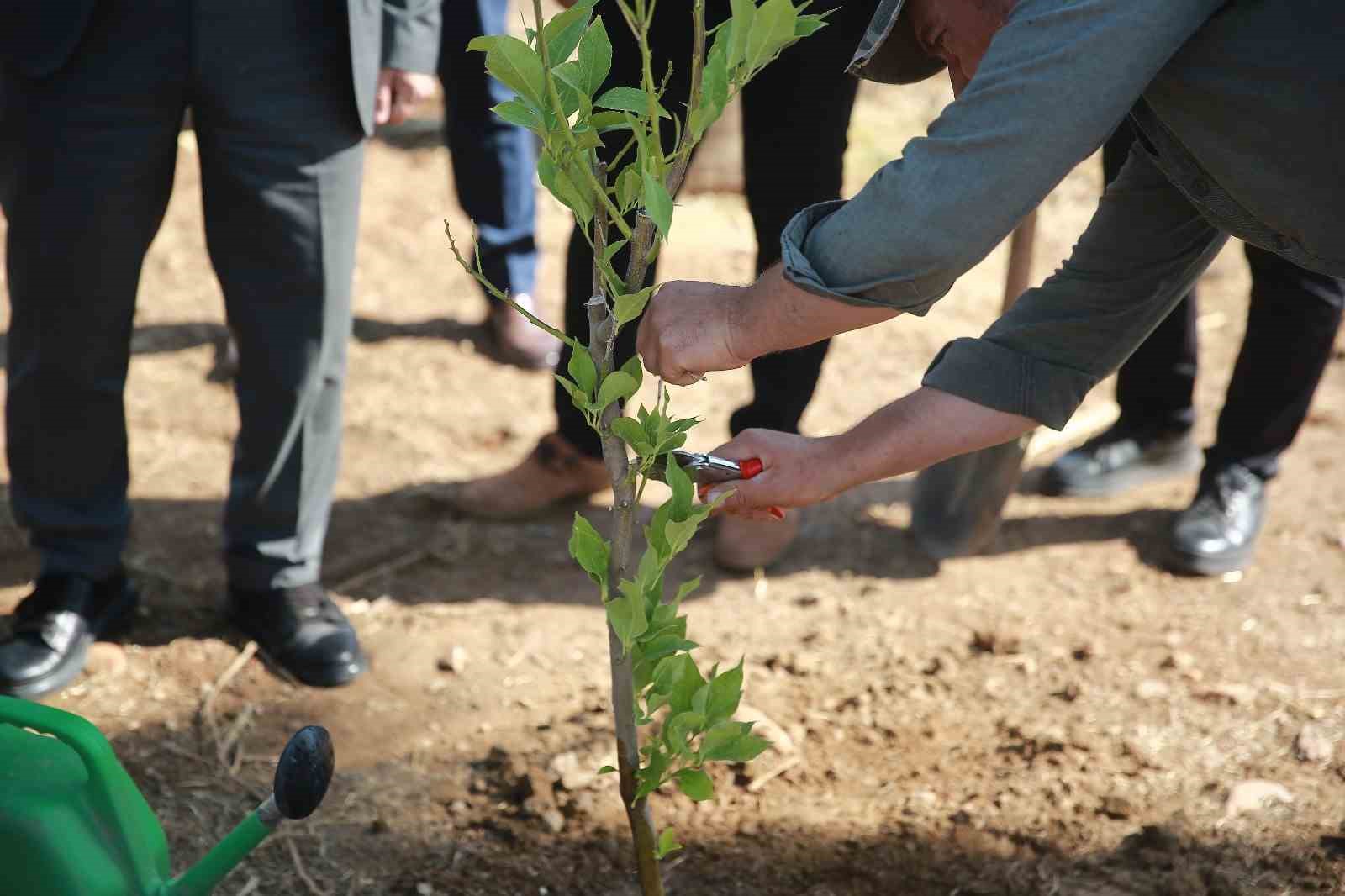 AD&Uuml;&rsquo;de &rsquo;Yeşil Kamp&uuml;s&rsquo; &ccedil;alışmaları devam ediyor
