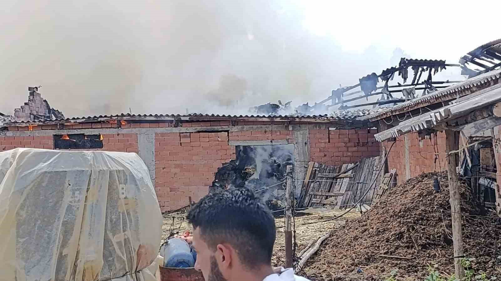 Bilecik’te samanlık alanda yangın çıktı