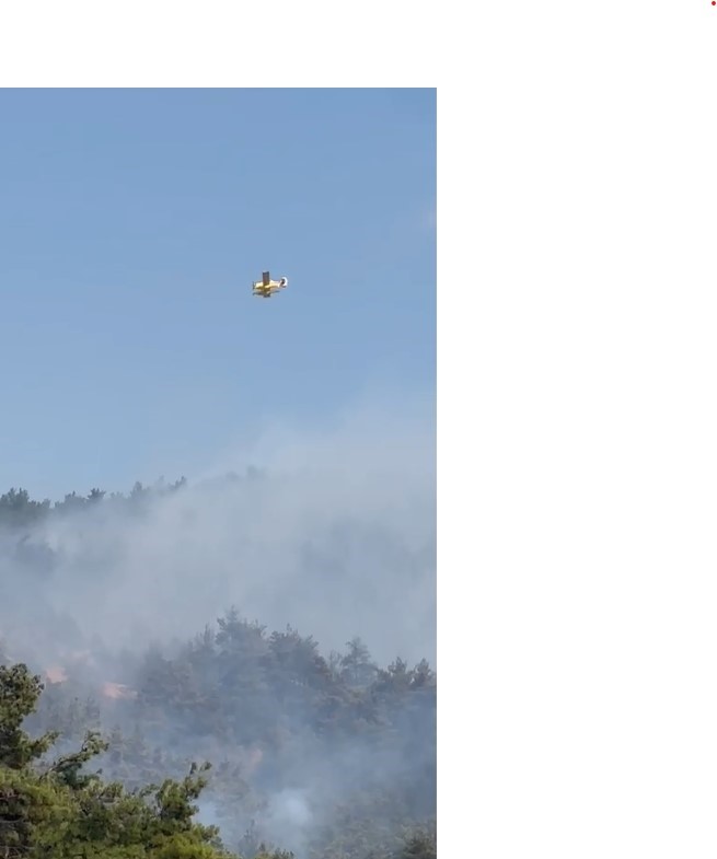 Devletin t&uuml;m kurumları Bursa yangını i&ccedil;in seferber oldu
