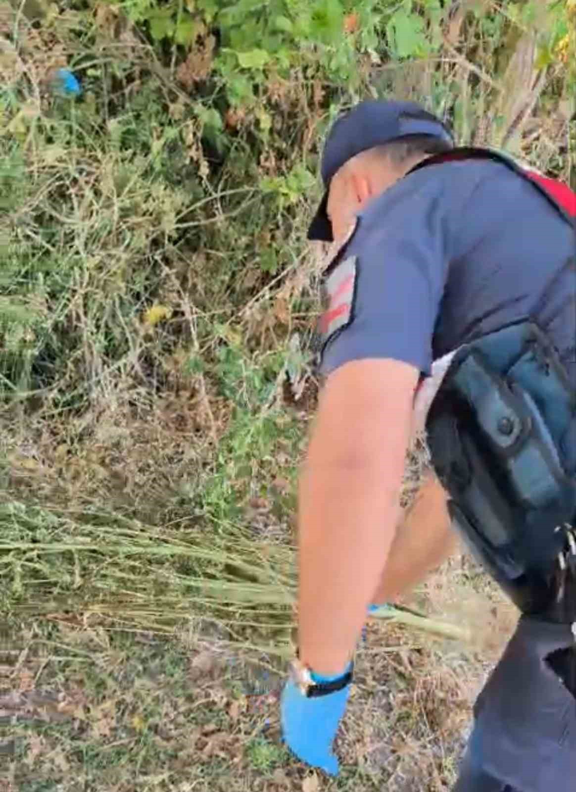 Samsun&rsquo;da jandarma 2 kilo 355 gram esrar ele ge&ccedil;irdi: 2 g&ouml;zaltı
