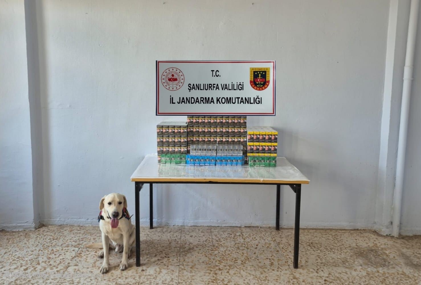 Şanlıurfa’da 7 bin 777 paket gümrük kaçağı sigara ele geçirildi