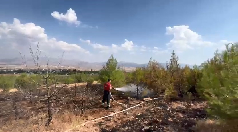 Elazığ’da ormanlık alanda yangın