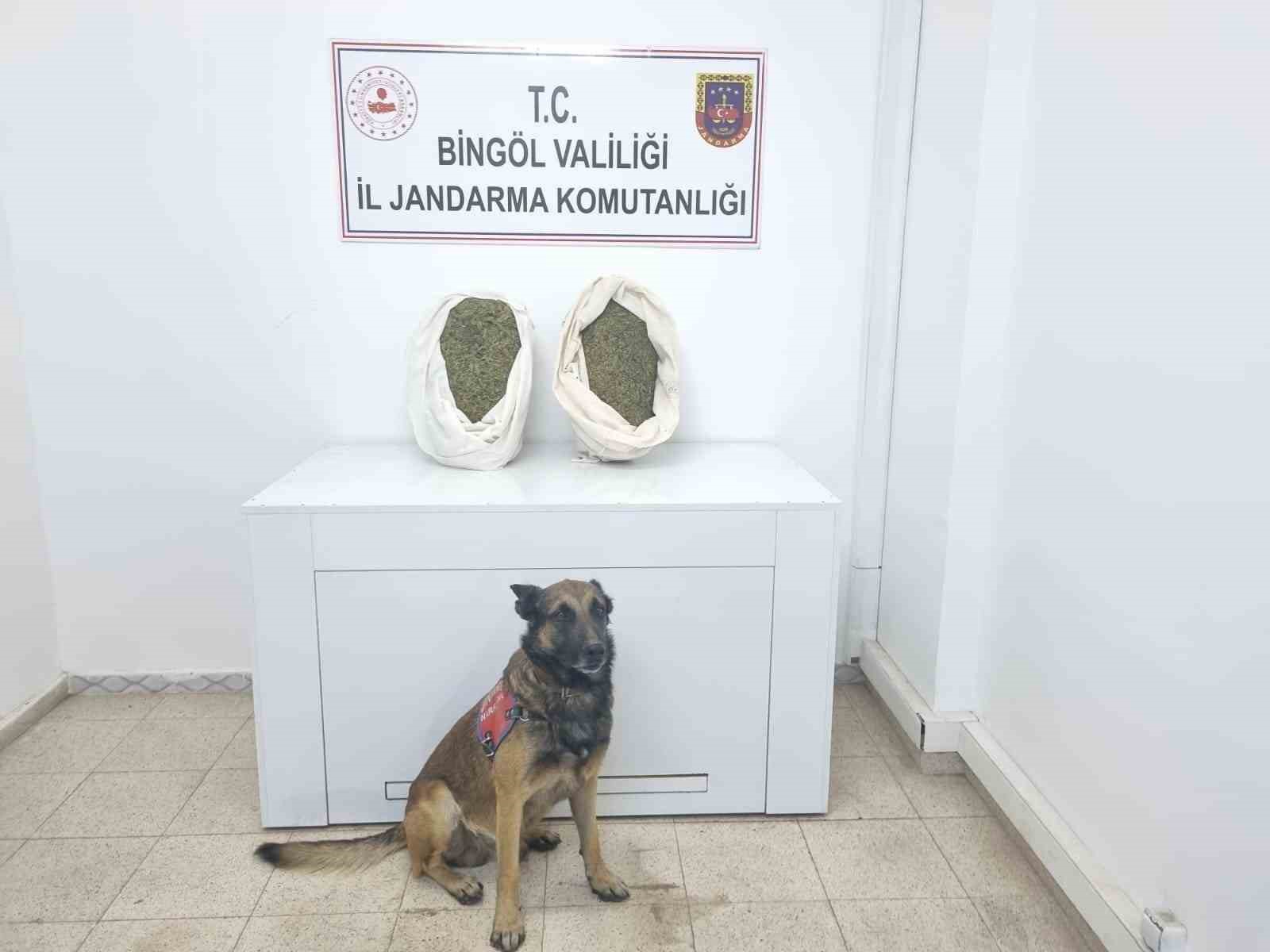 Bingöl’de jandarma ekipleri 10 kiloya yakın esrar ele geçirdi
