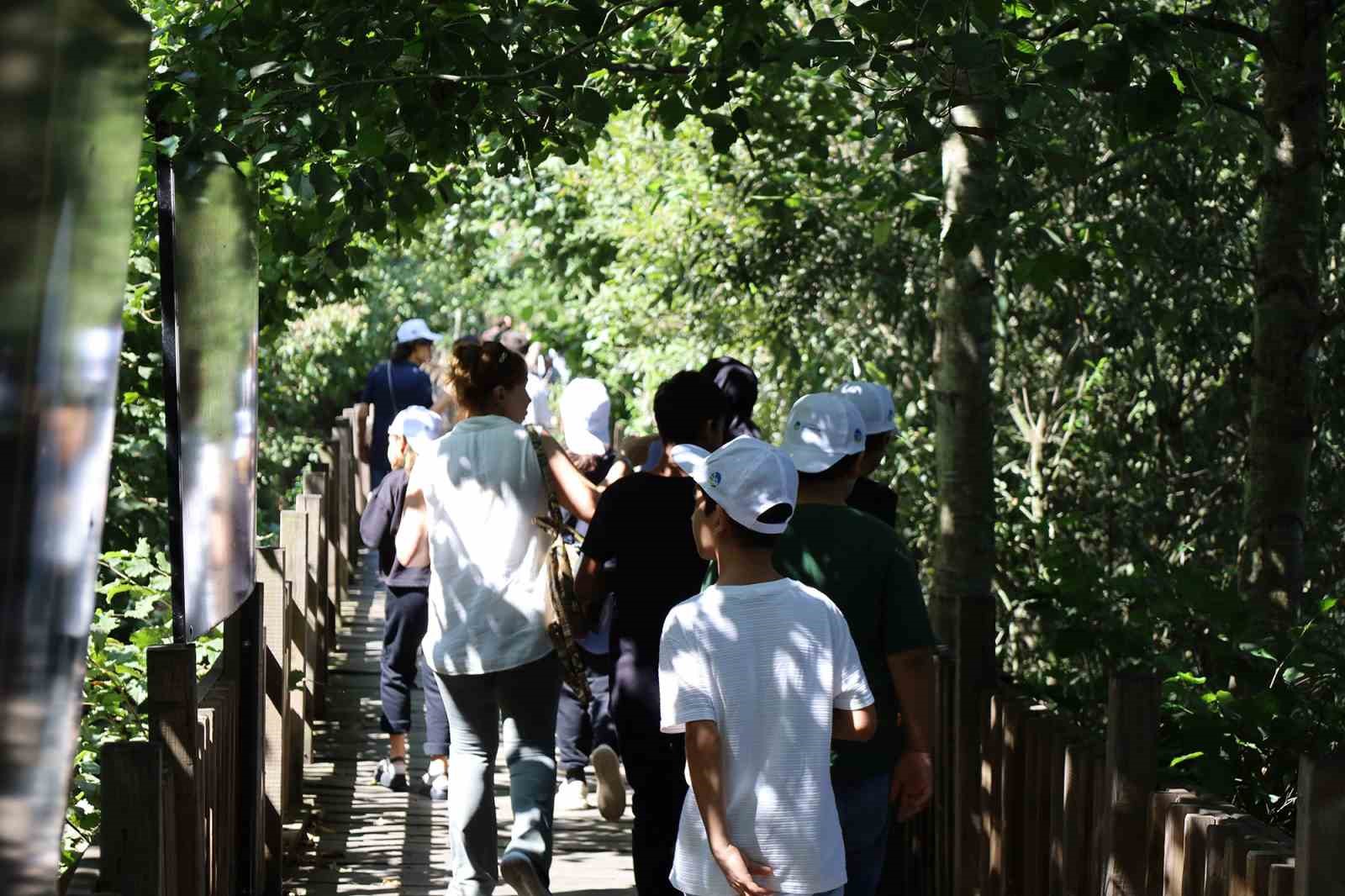 İsveç’te başlayan akım Karasu’ya ulaştı