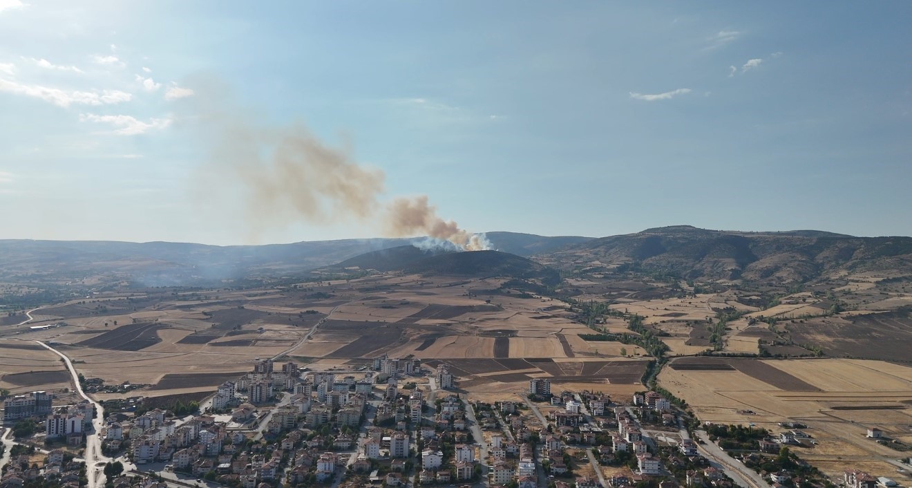 Ağaçlık alandan yükselen dumanlar kilometrelerce uzaktan görüldü
