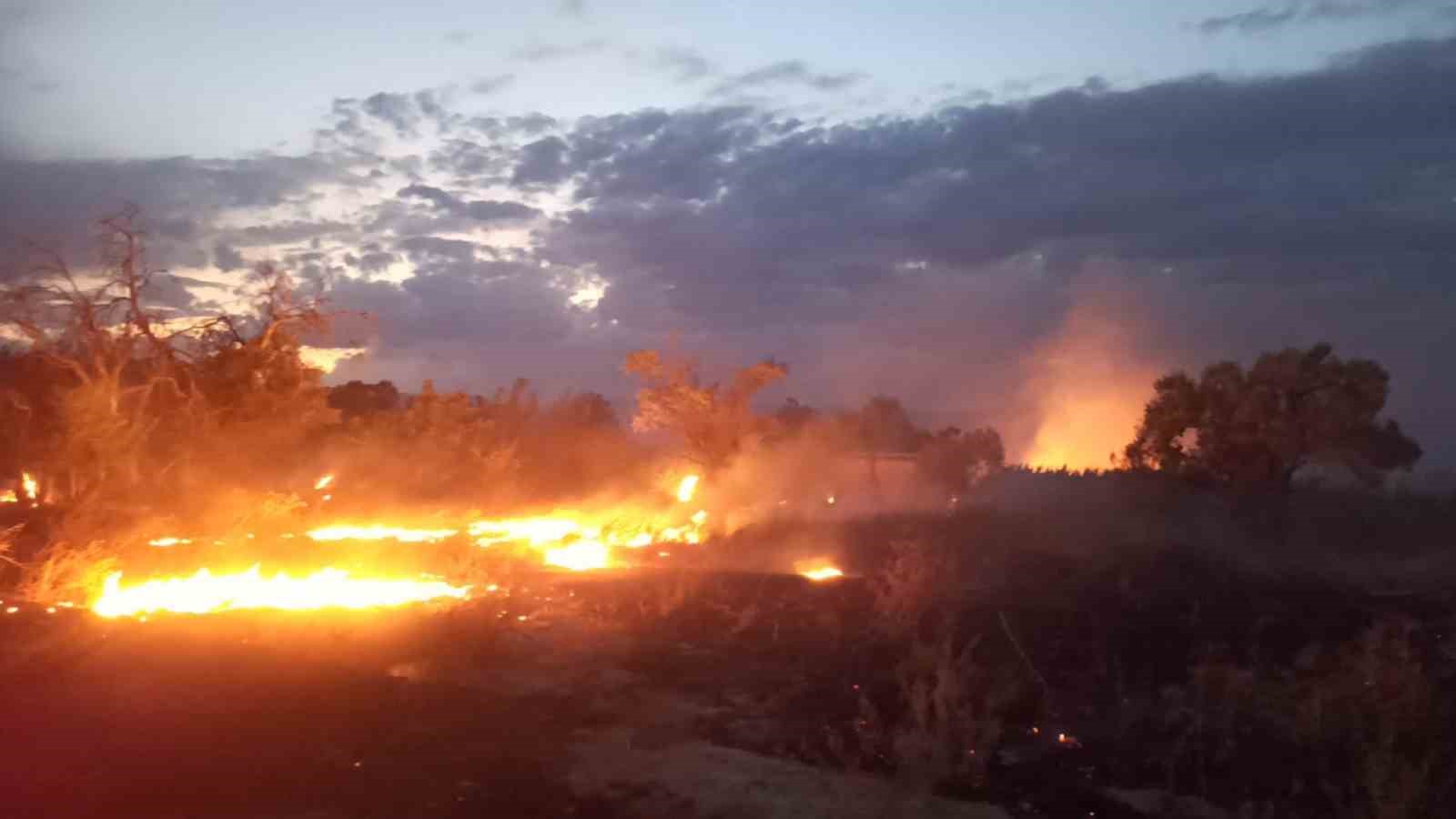 Burdur’da otluk alandaki yangın itfaiye tarafından söndürüldü