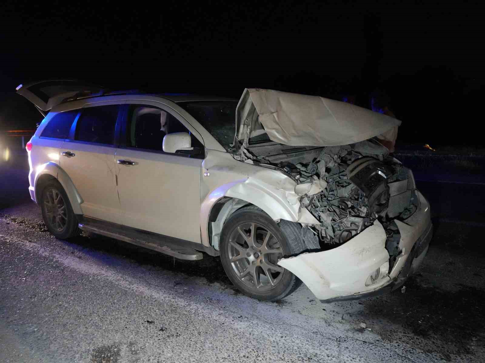 Yola çıkan hayvanlara otobüs ve cip çarptı: 3 inek telef oldu