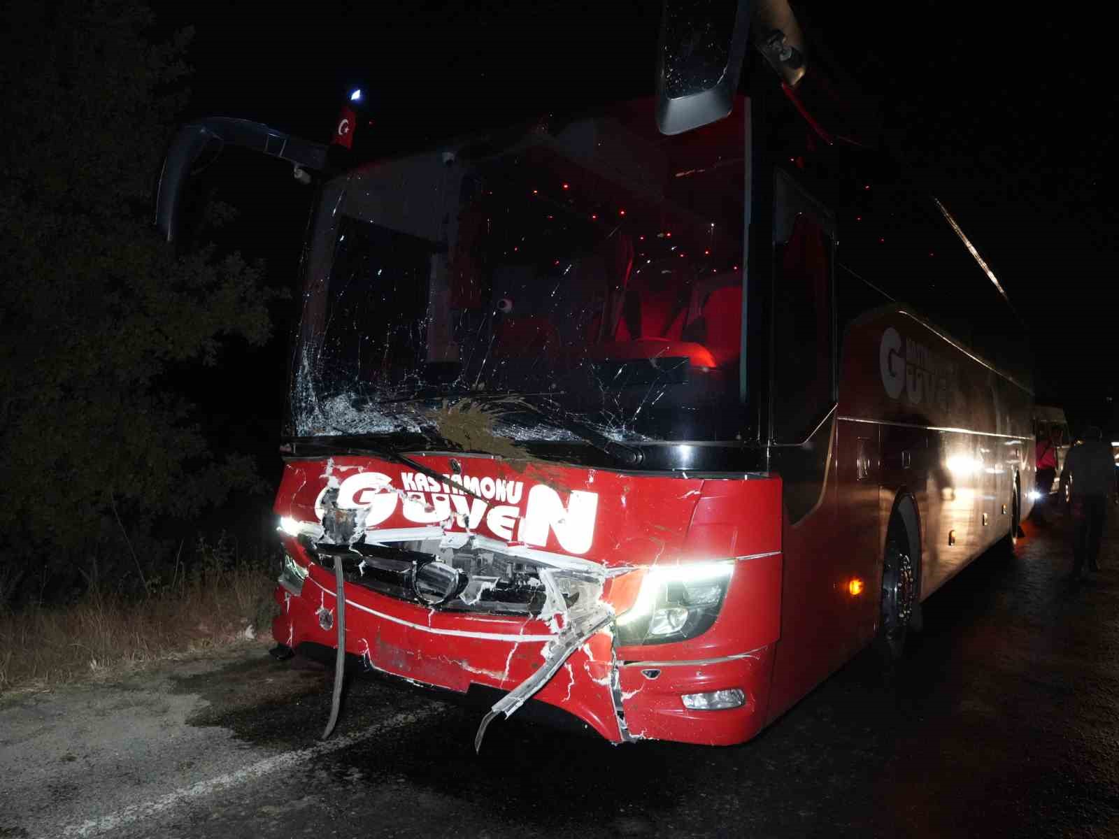 Yola çıkan hayvanlara otobüs ve cip çarptı: 3 inek telef oldu