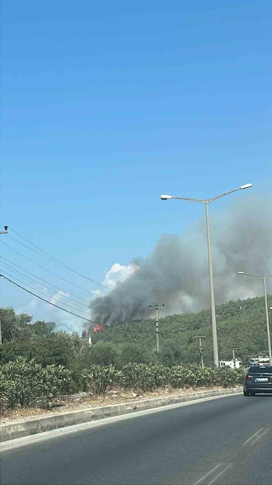 Bodrum’da orman yangını başladı