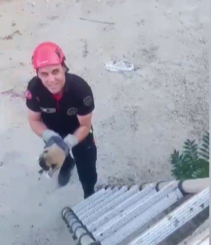 Kanala d&uuml;şen yavru k&ouml;pek kurtarıldı
