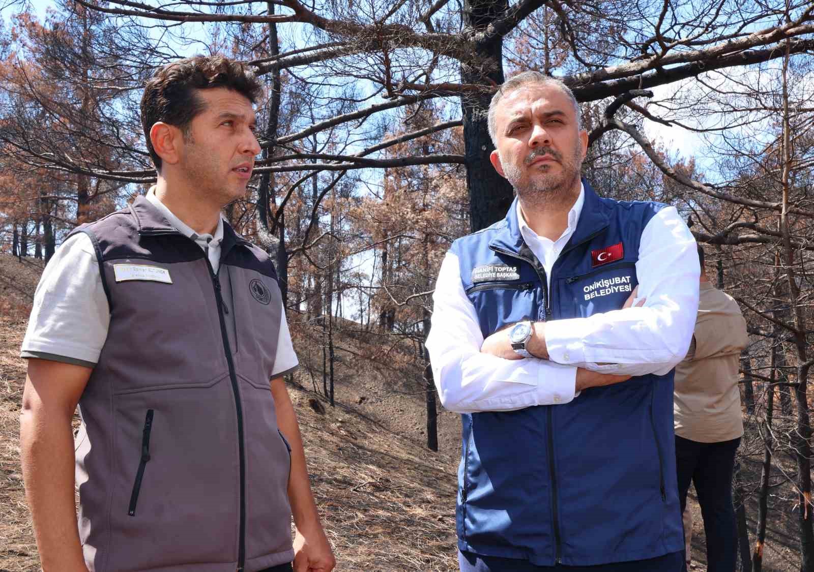 Kahramanmaraş’ta  yanan ormanlık alanlar fidanlarla buluşturulacak