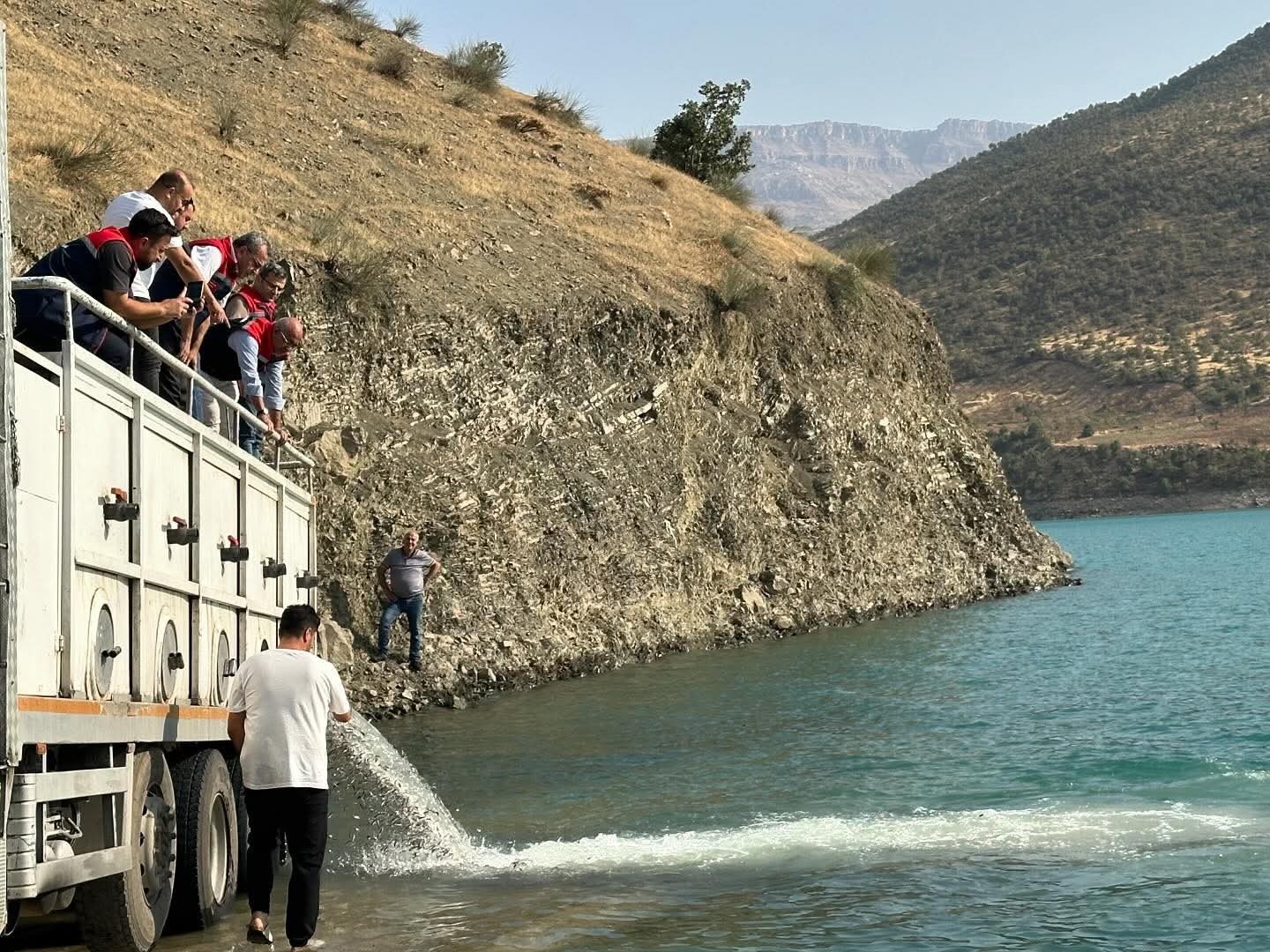 Siirt’te baraj gölü balıklandırıldı