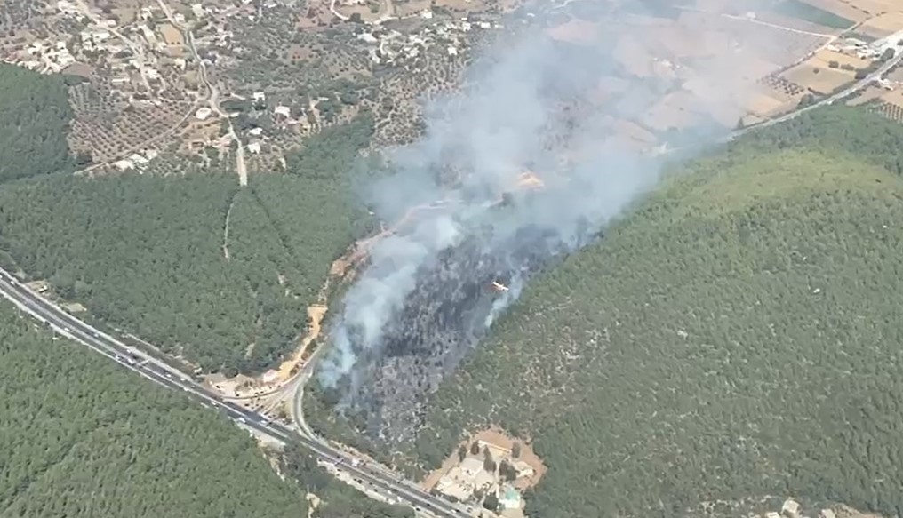 Bodrum orman yangınına yoğun müdahale