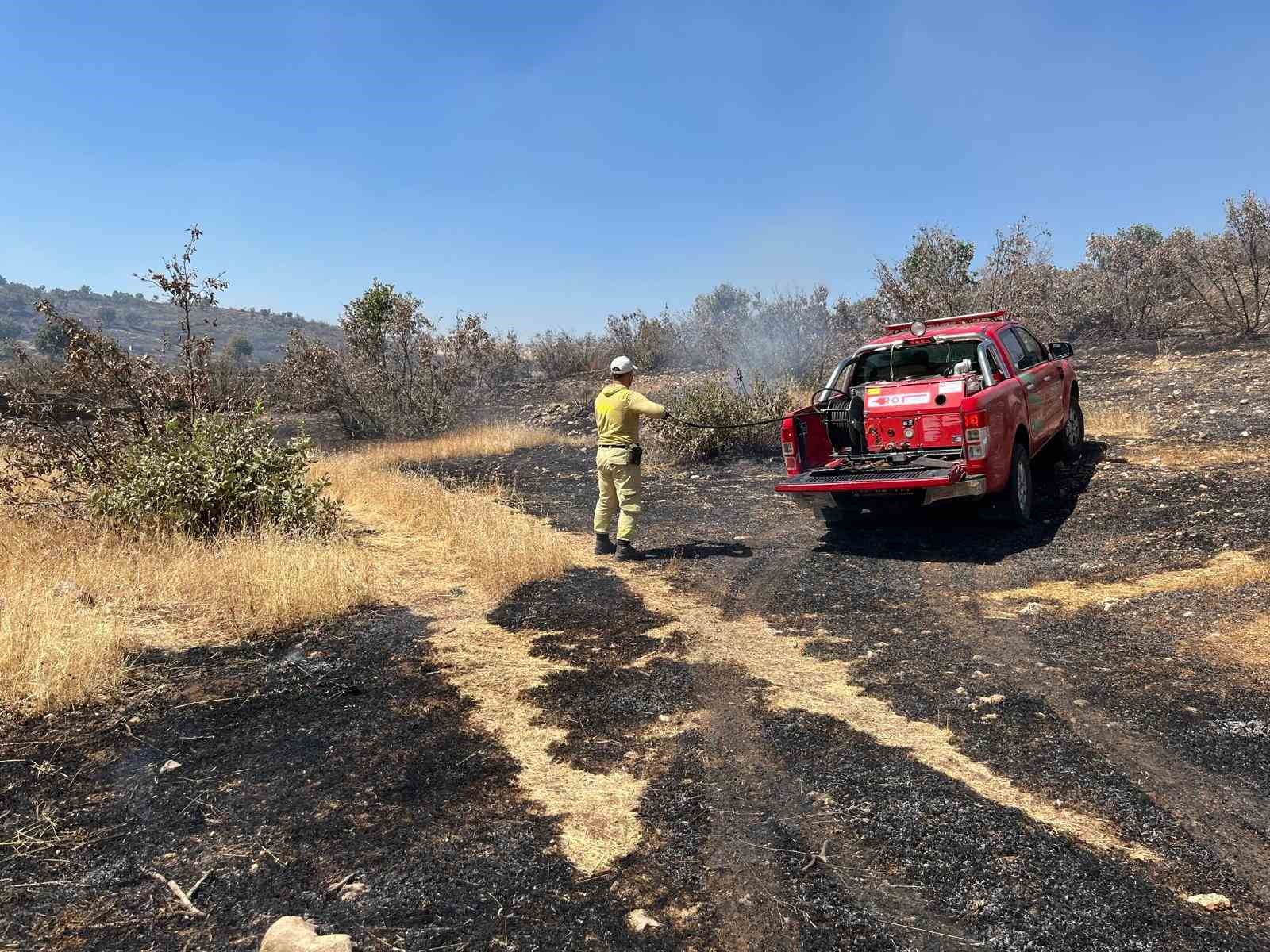 Mardin’de çıkan orman yangını söndürüldü