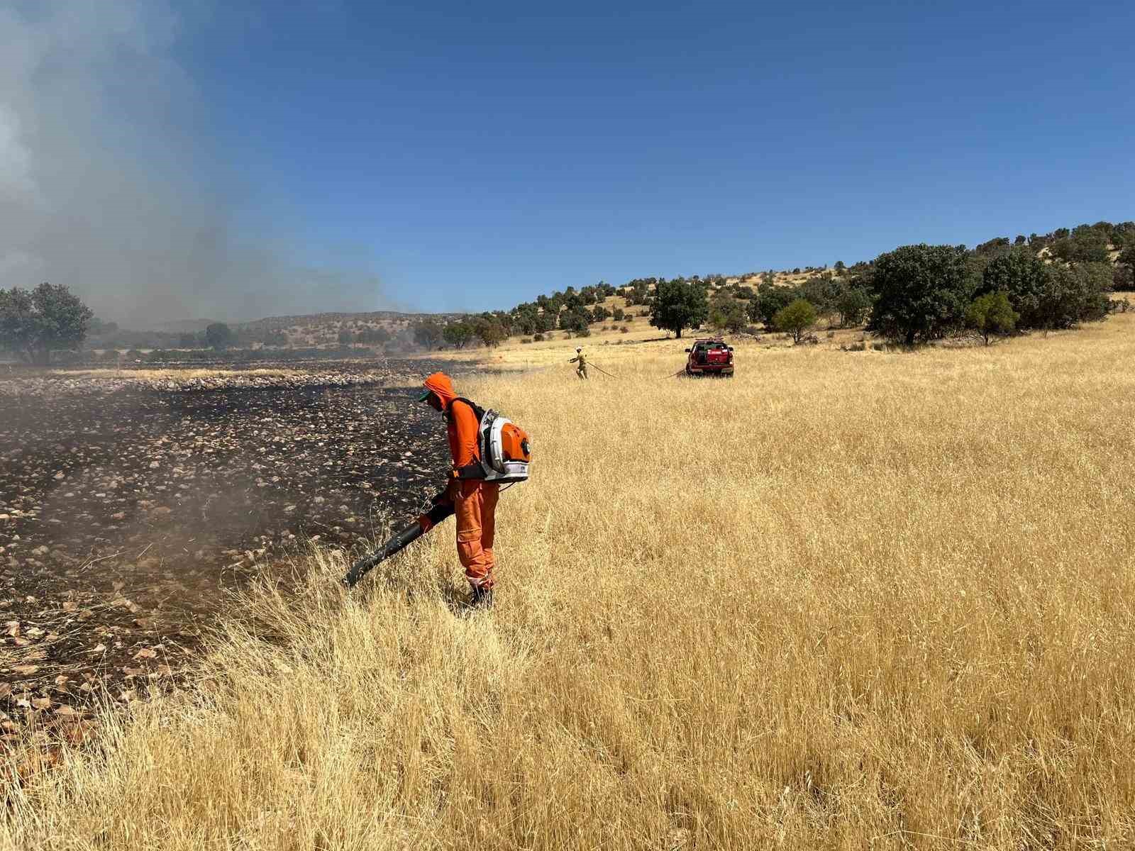 Mardin’de çıkan orman yangını söndürüldü
