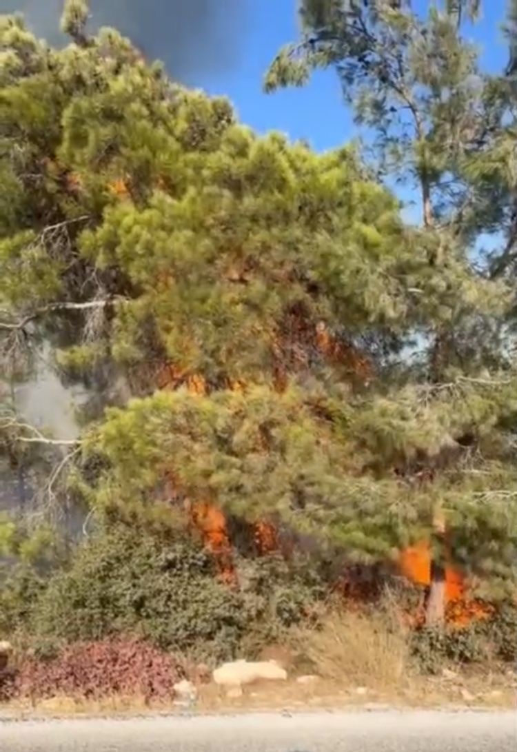 Mersin Erdemli’de orman yangını büyümeden söndürüldü