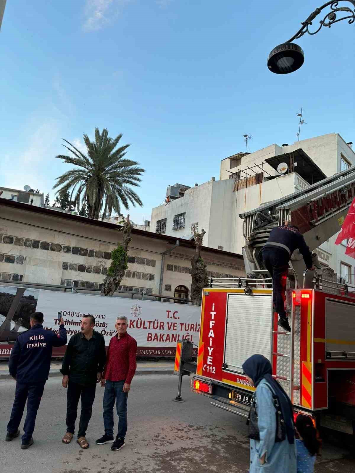 Kilis’te 3 gündür ağaçta mahsur kalan kedi kurtarıldı