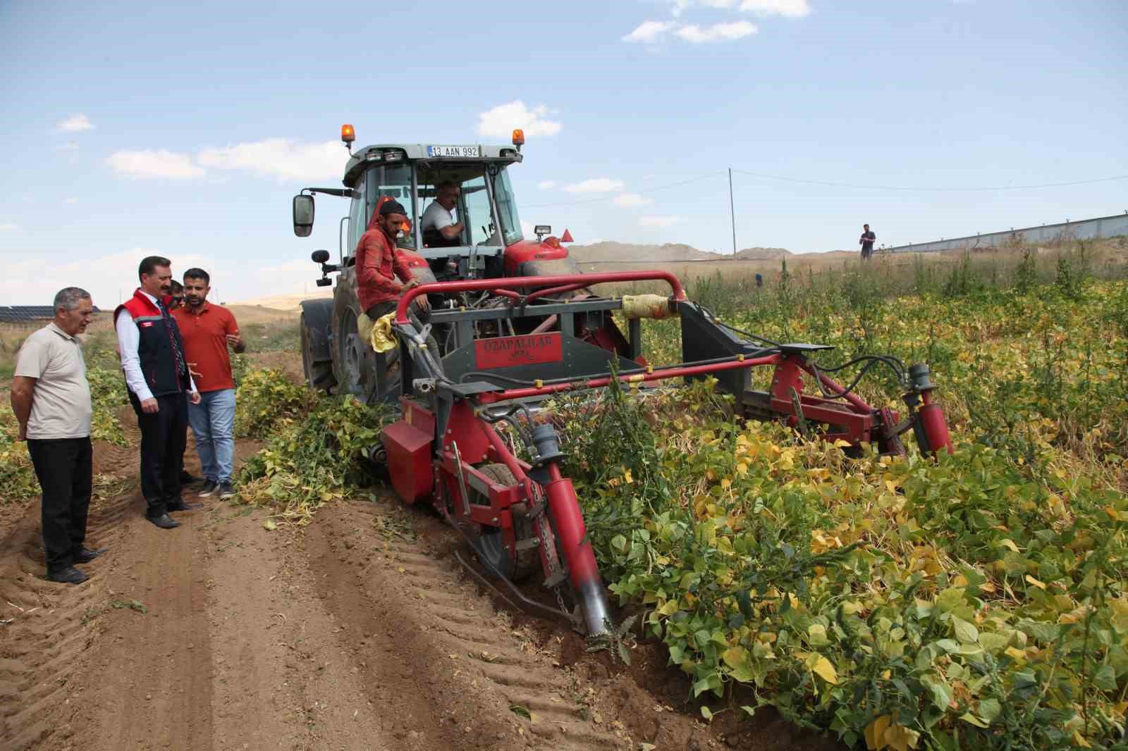 110 bin dekar alana ekilen kuru fasulyenin hasadına başlandı