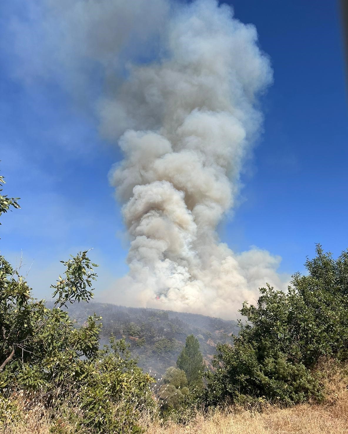 Yangınla m&uuml;cadelede b&uuml;y&uuml;k başarı: Y&uuml;zde 500&rsquo;l&uuml;k d&uuml;ş&uuml;ş ger&ccedil;ekleşti
