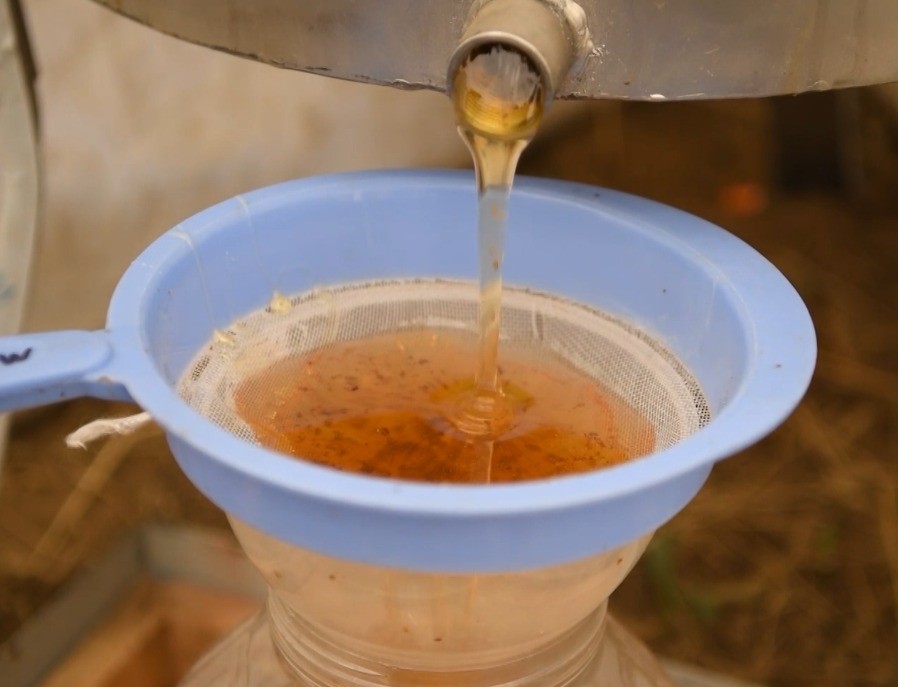 Nurhak’ın Tahtalı Yaylası’nda bal sağımı