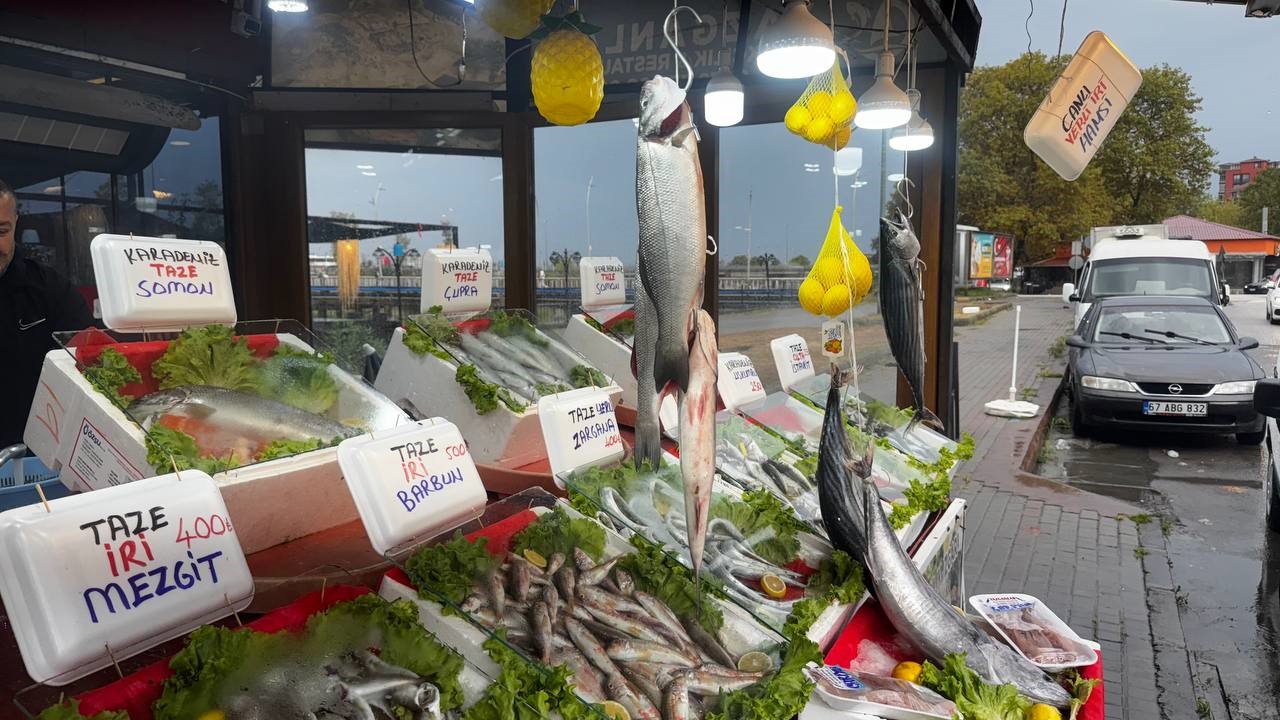 Karadeniz’de bu yıl hamsi beklentisi büyük
