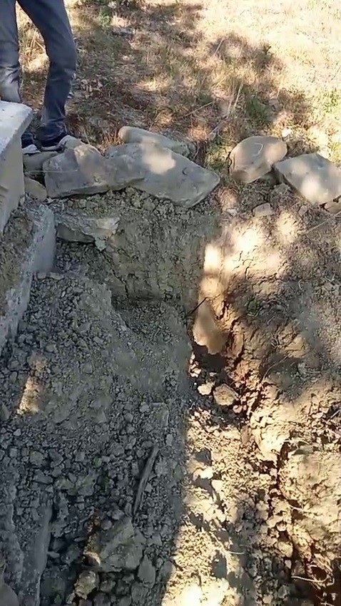 Mezarı kazıp tahtaları kıran ayı cenazeye ulaşamadan ka&ccedil;tı
