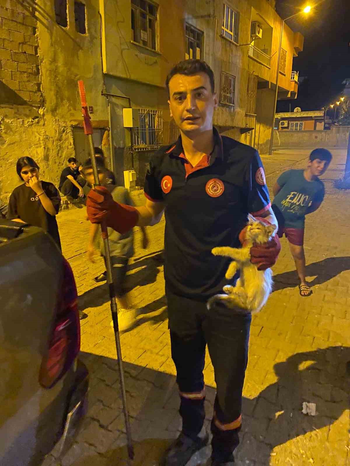 Batman’da pano içinde mahsur kalan kedileri itfaiye ekipleri kurtardı