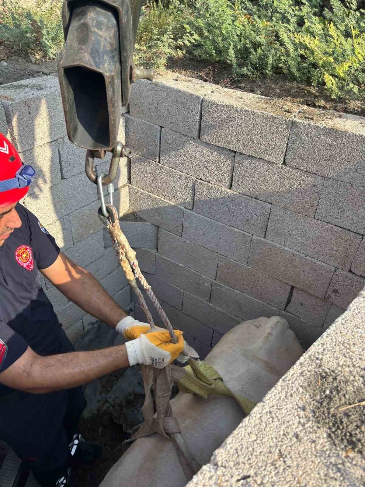 Tuvalet kuyusuna düşen boğa itfaiye ekipleri tarafından kurtarıldı