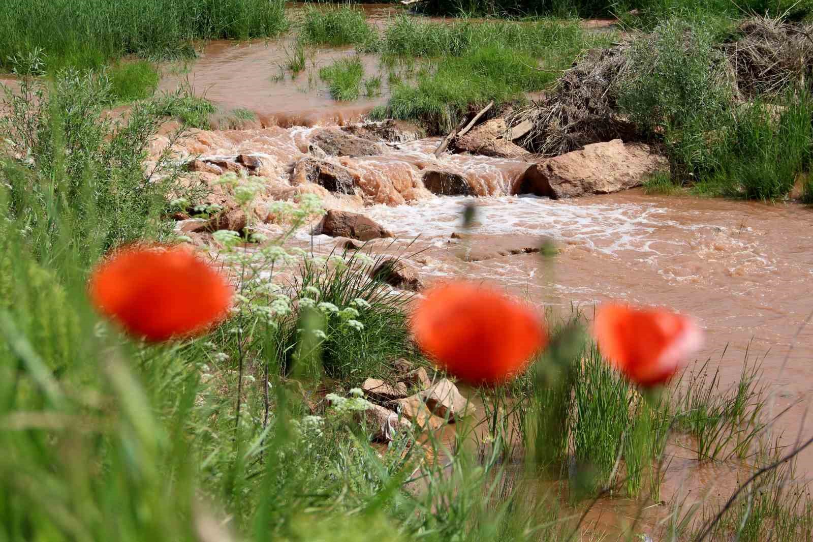 Kızılırmak’a rengini veriyordu, şimdilerde kuraklıkla savaşıyor