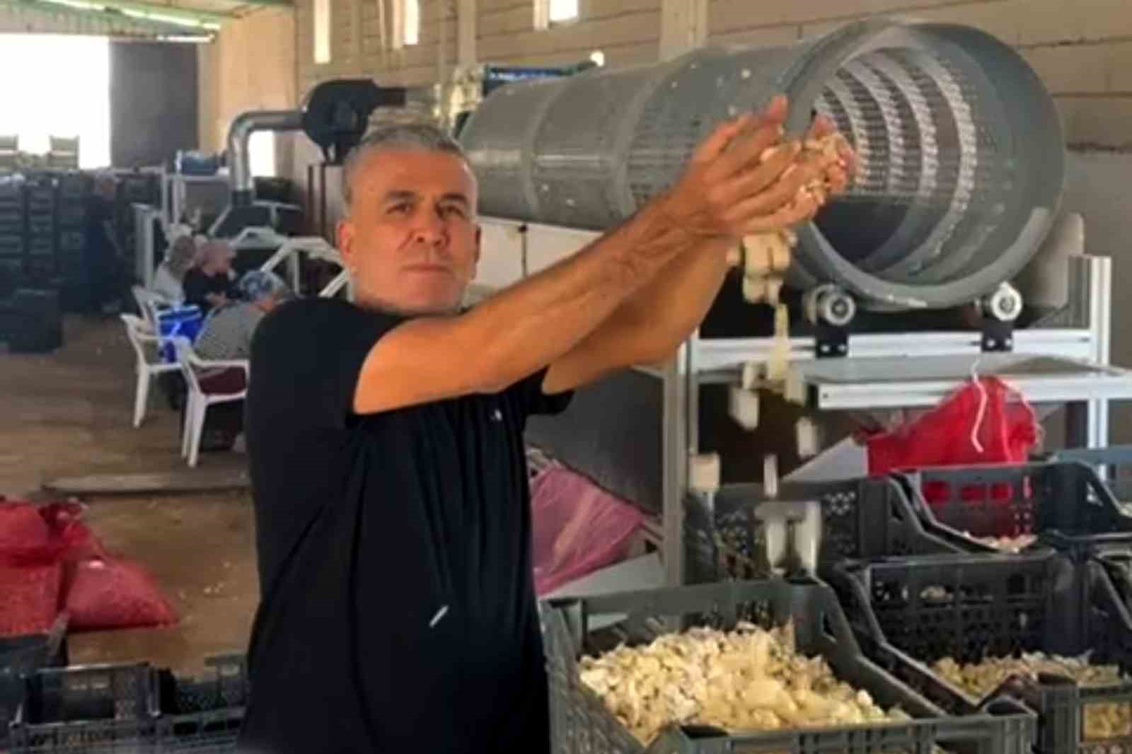 Arabanlı sarımsak &ccedil;ift&ccedil;isi, Ata tohumu tesisi kurdu
