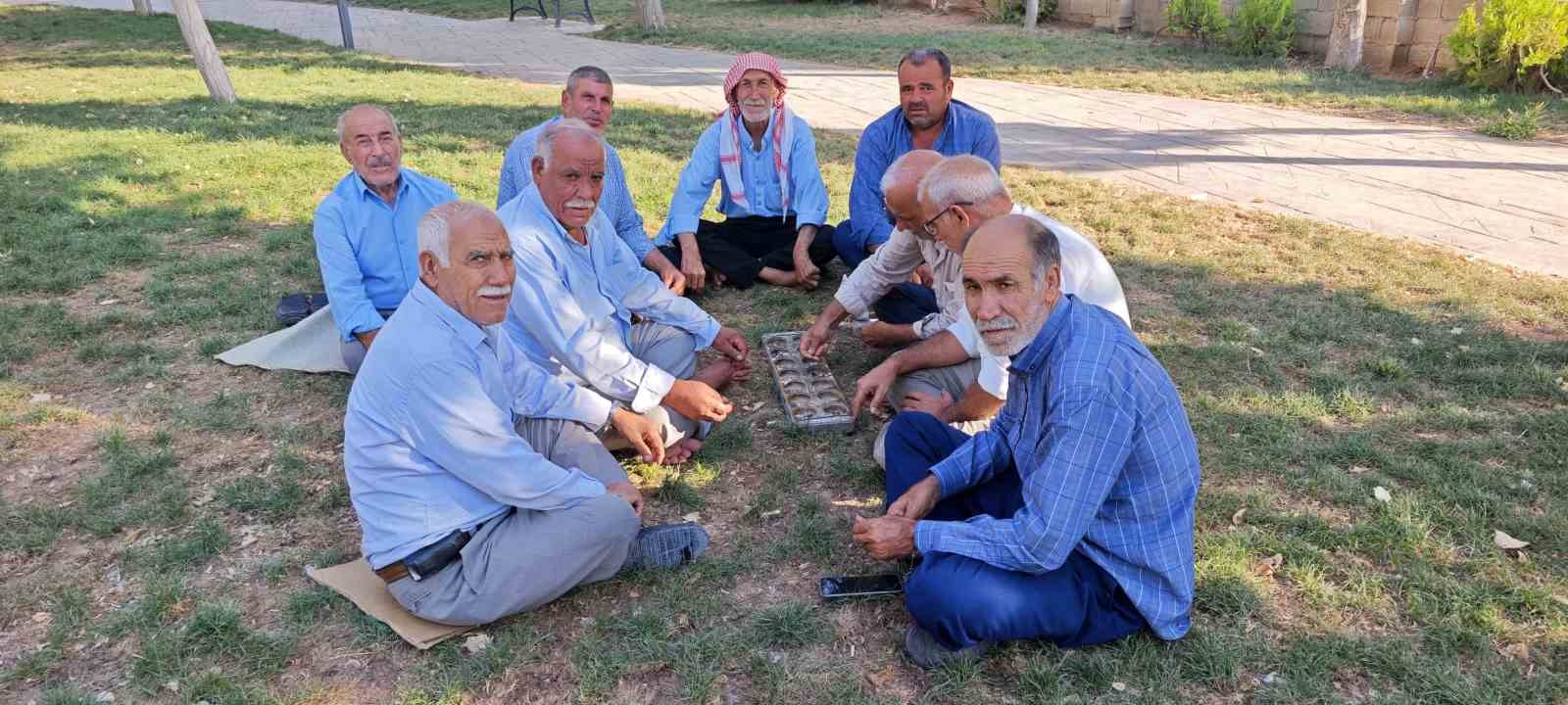 Şanlıurfa’da binlerce yıllık zeka oyunu