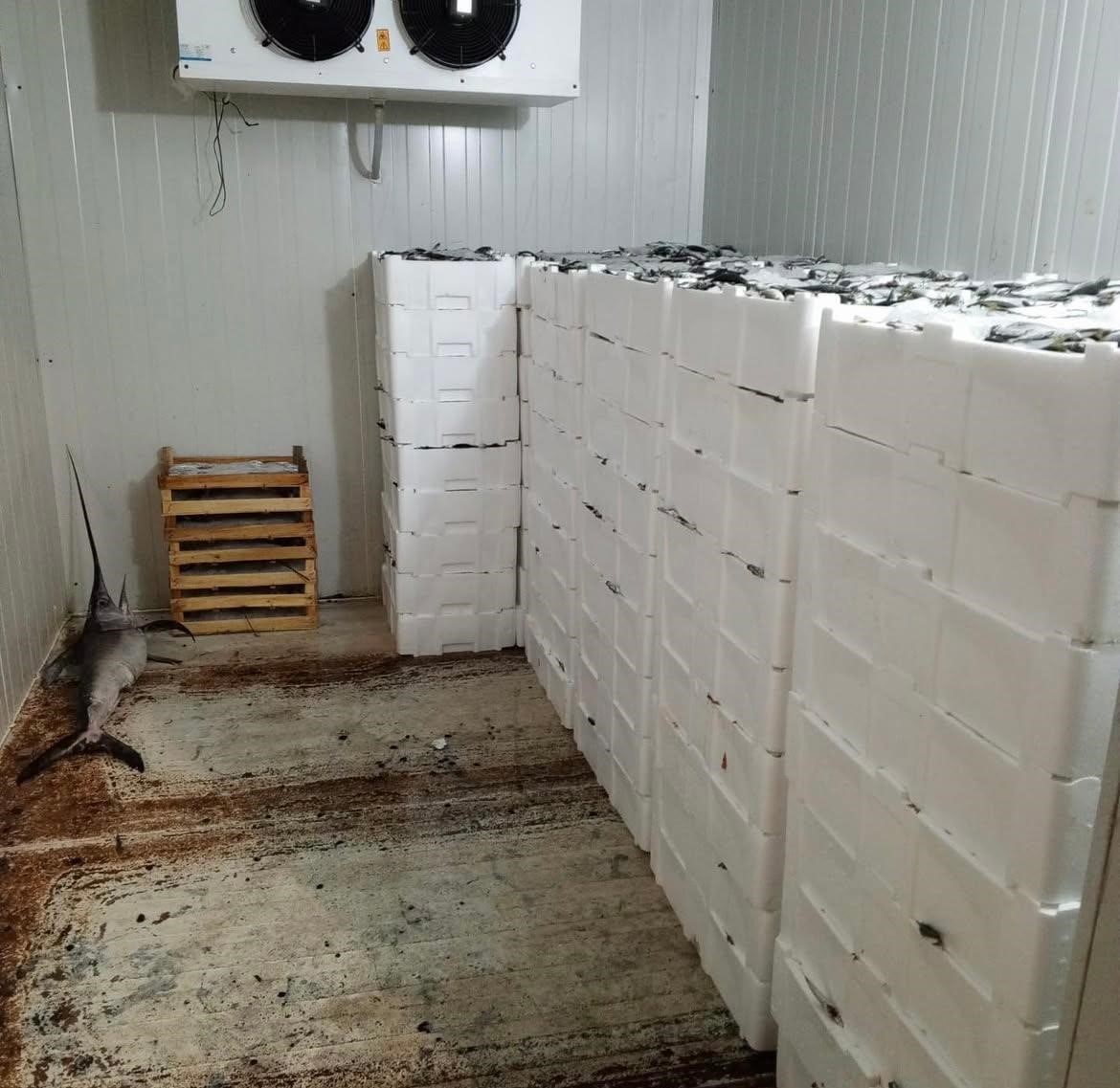 Kilolarca balığa el konuldu