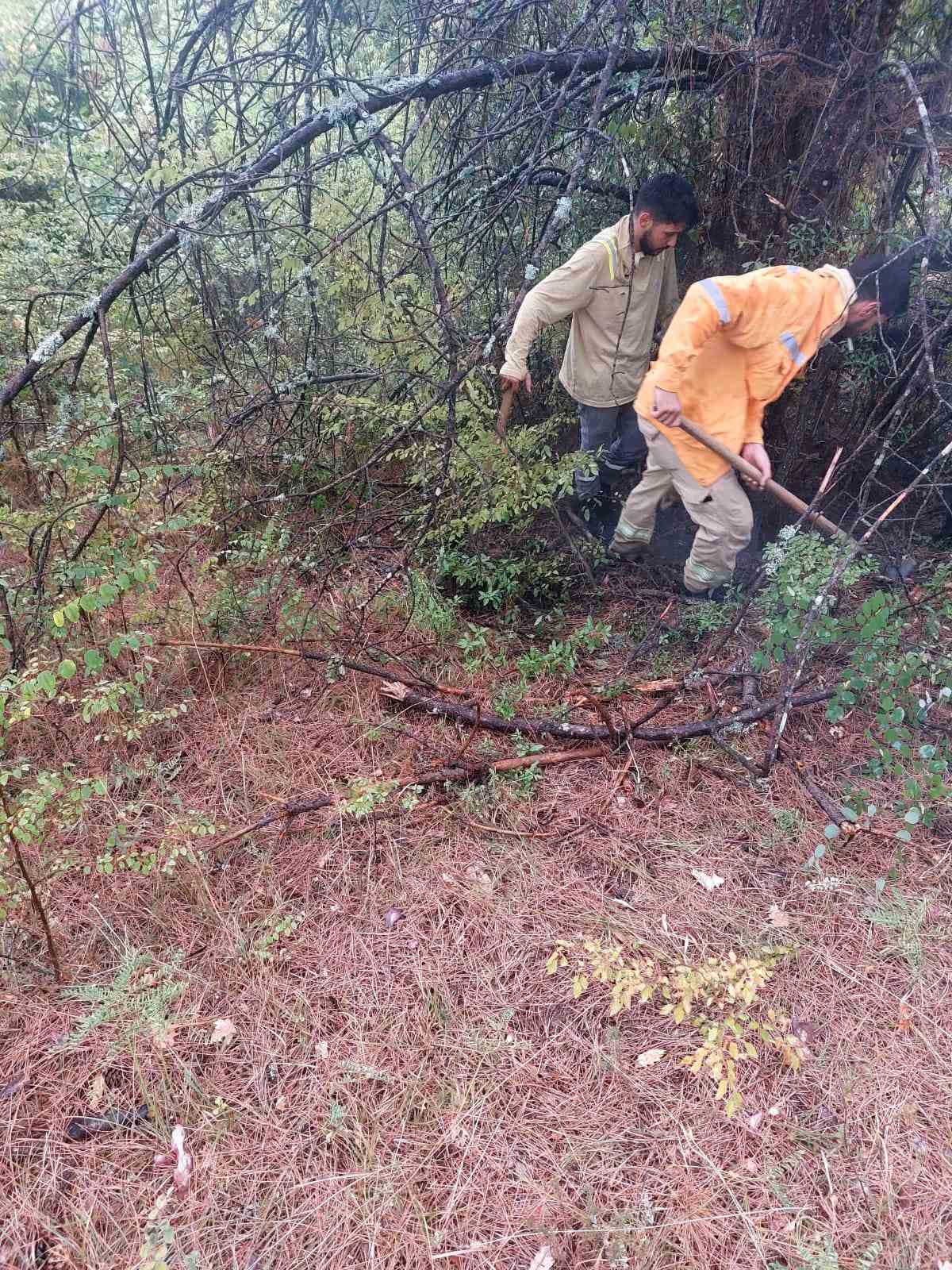 Bartın’da 1 saatte 4 ağaca yıldırım düştü