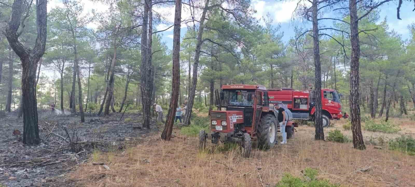 K&uuml;tahya&rsquo;da yıldırım, orman yangınına neden oldu: 8 dekar alan zarar g&ouml;rd&uuml;
